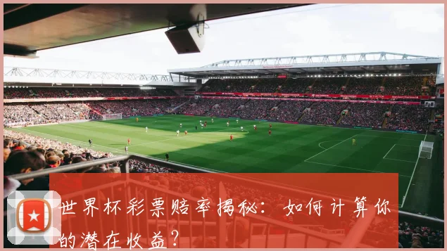 世界杯彩票赔率揭秘：如何计算你的潜在收益？