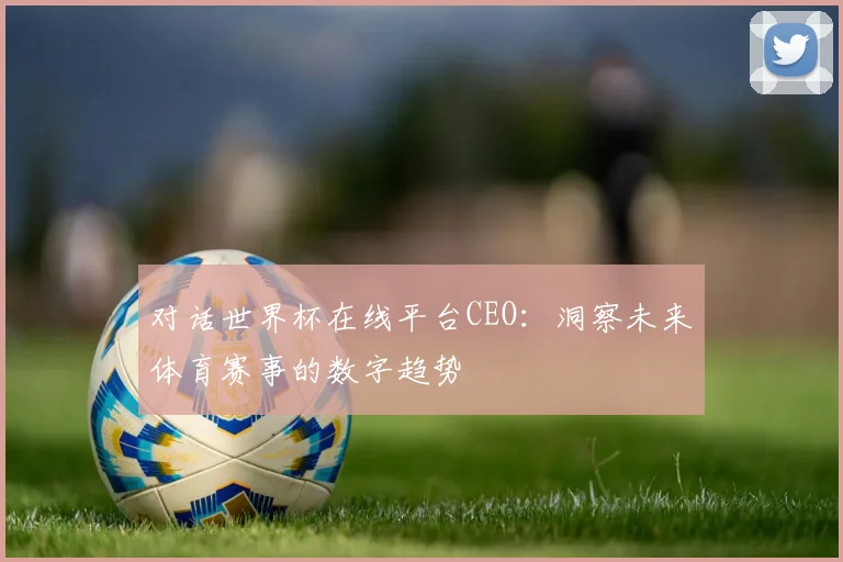 对话世界杯在线平台CEO：洞察未来体育赛事的数字趋势