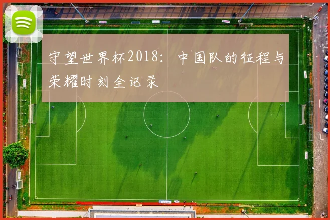 守望世界杯2018：中国队的征程与荣耀时刻全记录