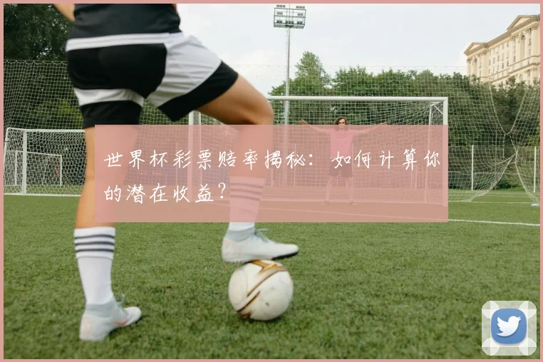 世界杯彩票赔率揭秘：如何计算你的潜在收益？