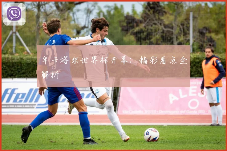 年卡塔尔世界杯开幕：精彩看点全解析
