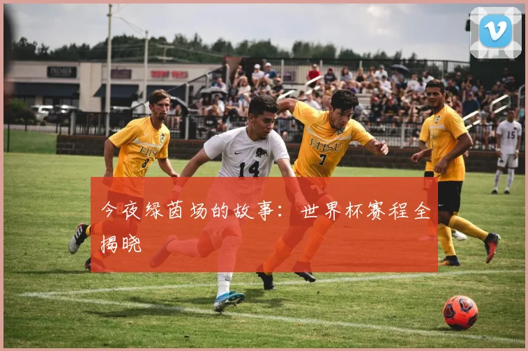 今夜绿茵场的故事：世界杯赛程全揭晓